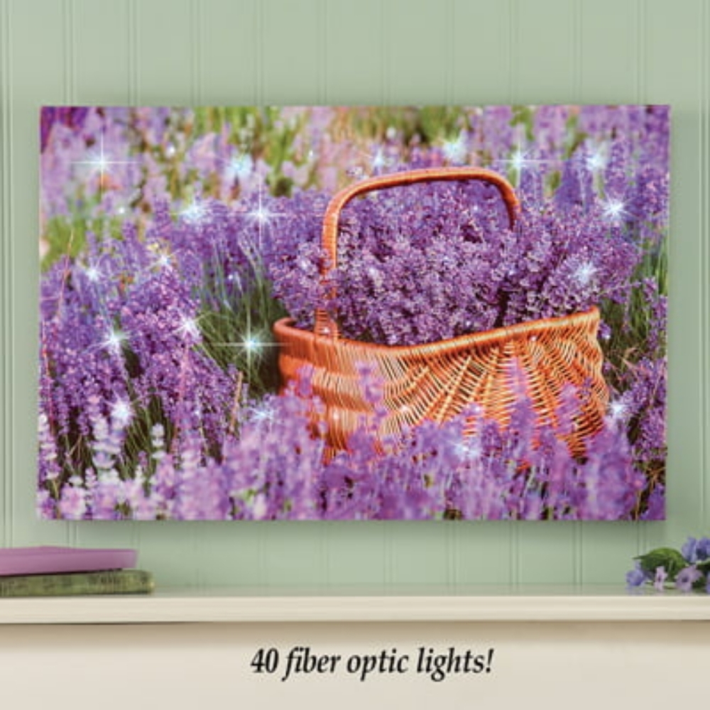 Lighted Lavender Canvas